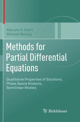 Reissig / Ebert |  Methods for Partial Differential Equations | Buch |  Sack Fachmedien