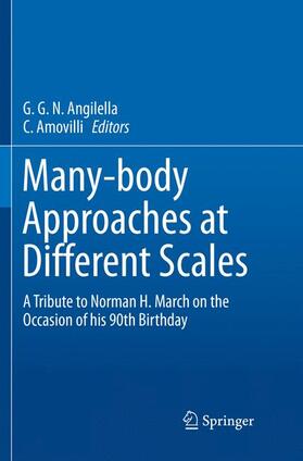 Amovilli / Angilella |  Many-body Approaches at Different Scales | Buch |  Sack Fachmedien