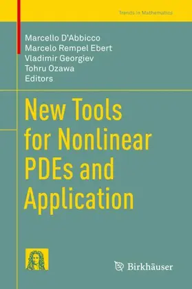 D'Abbicco / Ozawa / Ebert |  New Tools for Nonlinear PDEs and Application | Buch |  Sack Fachmedien