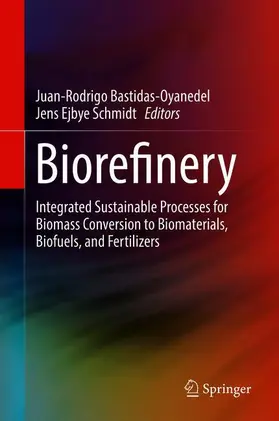 Schmidt / Bastidas-Oyanedel |  Biorefinery | Buch |  Sack Fachmedien