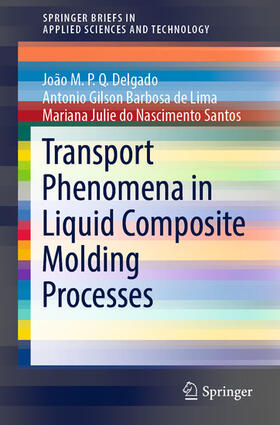 Delgado / Barbosa de Lima / do Nascimento Santos |  Transport Phenomena in Liquid Composite Molding Processes | eBook | Sack Fachmedien