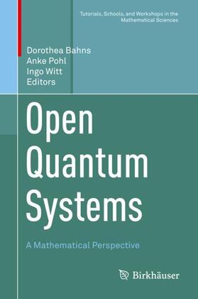 Bahns / Witt / Pohl |  Open Quantum Systems | Buch |  Sack Fachmedien