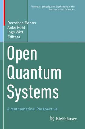 Bahns / Witt / Pohl |  Open Quantum Systems | Buch |  Sack Fachmedien