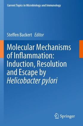Backert |  Molecular Mechanisms of Inflammation: Induction, Resolution and Escape by Helicobacter pylori | Buch |  Sack Fachmedien