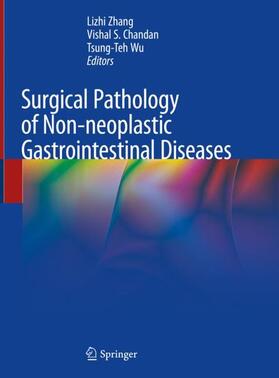 Zhang / Wu / Chandan |  Surgical Pathology of Non-neoplastic Gastrointestinal Diseases | Buch |  Sack Fachmedien