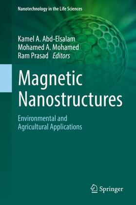 Abd-Elsalam / Prasad / Mohamed | Magnetic Nanostructures | Buch | 978-3-030-16438-6 | sack.de