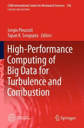 Sengupta / Pirozzoli |  High-Performance Computing of Big Data for Turbulence and Combustion | Buch |  Sack Fachmedien