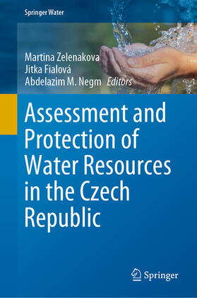 Zelenakova / Fialová / Negm |  Assessment and Protection of Water Resources in the Czech Republic | eBook | Sack Fachmedien