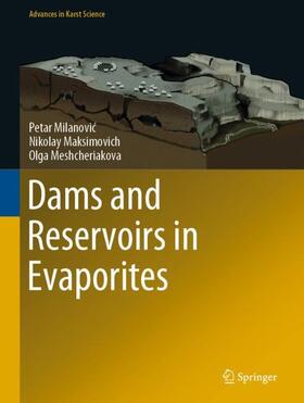 Milanovic / Milanovic / Meshcheriakova |  Dams and Reservoirs in Evaporites | Buch |  Sack Fachmedien