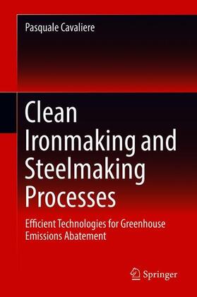 Cavaliere |  Clean Ironmaking and Steelmaking Processes | Buch |  Sack Fachmedien