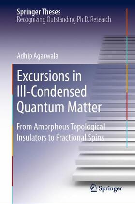 Agarwala |  Excursions in Ill-Condensed Quantum Matter | Buch |  Sack Fachmedien