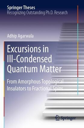 Agarwala |  Excursions in Ill-Condensed Quantum Matter | Buch |  Sack Fachmedien