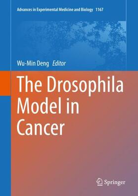 Deng |  The Drosophila Model in Cancer | Buch |  Sack Fachmedien