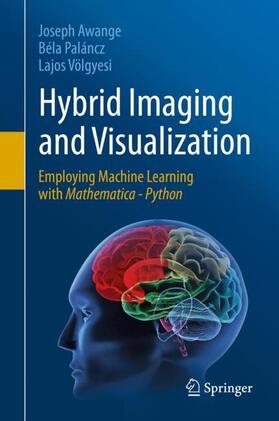 Awange / Paláncz / Völgyesi |  Hybrid Imaging and Visualization | Buch |  Sack Fachmedien