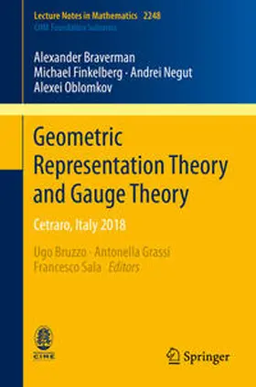 Braverman / Finkelberg / Negut |  Geometric Representation Theory and Gauge Theory | eBook | Sack Fachmedien