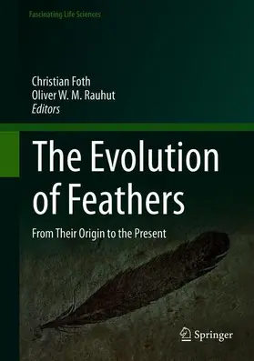 Rauhut / Foth |  The Evolution of Feathers | Buch |  Sack Fachmedien