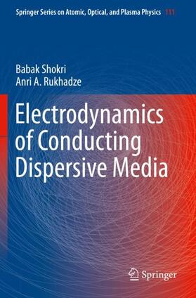 Rukhadze / Shokri |  Electrodynamics of Conducting Dispersive Media | Buch |  Sack Fachmedien