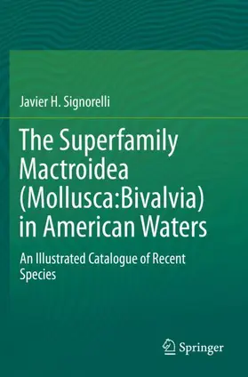 Signorelli |  The Superfamily Mactroidea (Mollusca:Bivalvia) in American Waters | Buch |  Sack Fachmedien