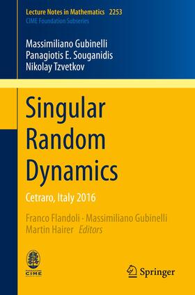 Gubinelli / Souganidis / Tzvetkov |  Singular Random Dynamics | Buch |  Sack Fachmedien