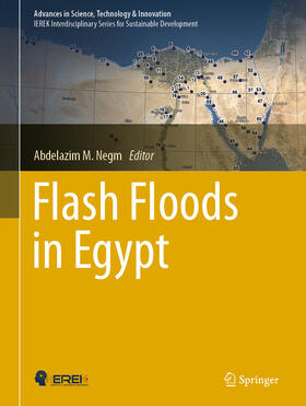 Negm |  Flash Floods in Egypt | eBook | Sack Fachmedien