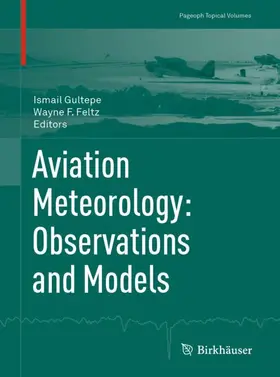 Feltz / Gultepe |  Aviation Meteorology: Observations and Models | Buch |  Sack Fachmedien