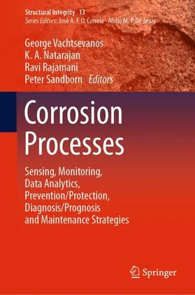 Vachtsevanos / Sandborn / Natarajan |  Corrosion Processes | Buch |  Sack Fachmedien