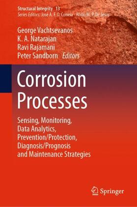 Vachtsevanos / Sandborn / Natarajan | Corrosion Processes | Buch | 978-3-030-32830-6 | sack.de