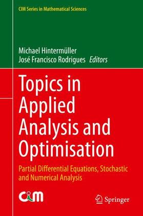 Rodrigues / Hintermüller |  Topics in Applied Analysis and Optimisation | Buch |  Sack Fachmedien