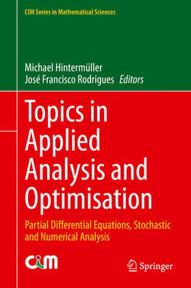Hintermüller / Rodrigues |  Topics in Applied Analysis and Optimisation | eBook | Sack Fachmedien