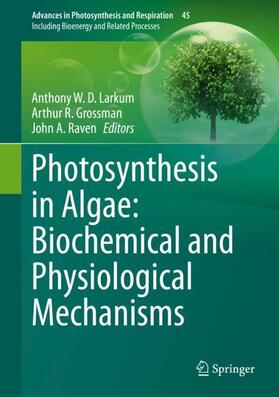 Larkum / Grossman / Raven |  Photosynthesis in Algae: Biochemical and Physiological Mechanisms | Buch |  Sack Fachmedien