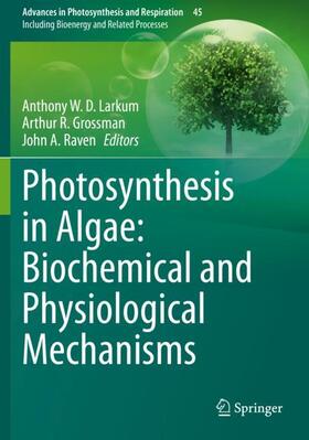 Larkum / Raven / Grossman |  Photosynthesis in Algae: Biochemical and Physiological Mechanisms | Buch |  Sack Fachmedien
