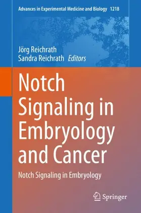 Reichrath |  Notch Signaling in Embryology and Cancer | Buch |  Sack Fachmedien