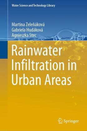 Zelenáková / Zelenáková / Stec |  Rainwater Infiltration in Urban Areas | Buch |  Sack Fachmedien