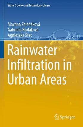 Zelenáková / Zelenáková / Stec |  Rainwater Infiltration in Urban Areas | Buch |  Sack Fachmedien