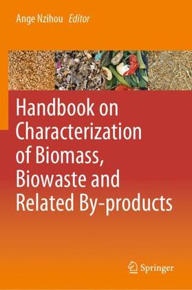 Nzihou |  Handbook on Characterization of Biomass, Biowaste and Related By-products | Buch |  Sack Fachmedien