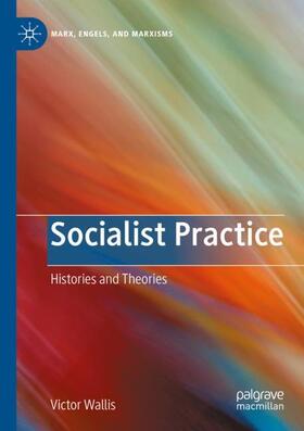 Wallis |  Socialist Practice | Buch |  Sack Fachmedien