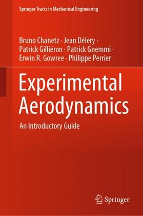 Chanetz / Délery / Perrier |  Experimental Aerodynamics | Buch |  Sack Fachmedien