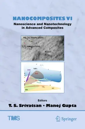 Gupta / Srivatsan |  Nanocomposites VI: Nanoscience and Nanotechnology in Advanced Composites | Buch |  Sack Fachmedien