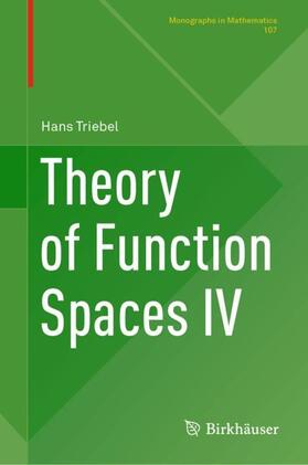 Triebel |  Theory of Function Spaces IV | Buch |  Sack Fachmedien