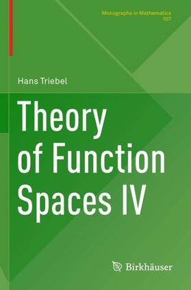 Triebel |  Theory of Function Spaces IV | Buch |  Sack Fachmedien