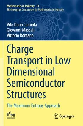 Camiola / Romano / Mascali |  Charge Transport in Low Dimensional Semiconductor Structures | Buch |  Sack Fachmedien