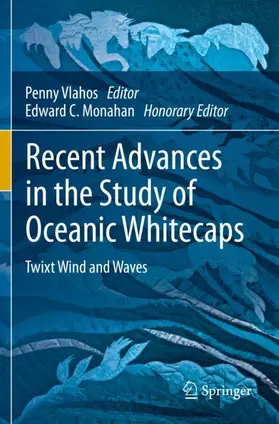 Monahan / Vlahos |  Recent Advances in the Study of Oceanic Whitecaps | Buch |  Sack Fachmedien