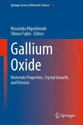 Fujita / Higashiwaki |  Gallium Oxide | Buch |  Sack Fachmedien