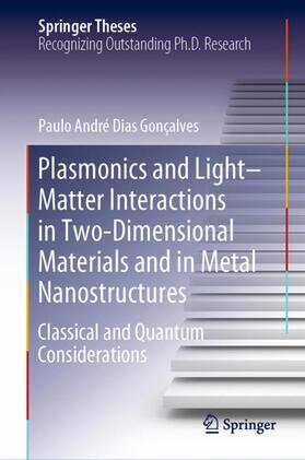 Gonçalves |  Plasmonics and Light¿Matter Interactions in Two-Dimensional Materials and in Metal Nanostructures | Buch |  Sack Fachmedien