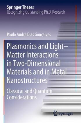 Gonçalves |  Plasmonics and Light¿Matter Interactions in Two-Dimensional Materials and in Metal Nanostructures | Buch |  Sack Fachmedien
