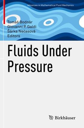 Bodnár / Necasová / Galdi |  Fluids Under Pressure | Buch |  Sack Fachmedien