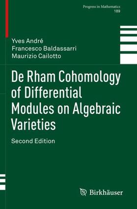 André / Cailotto / Baldassarri |  De Rham Cohomology of Differential Modules on Algebraic Varieties | Buch |  Sack Fachmedien
