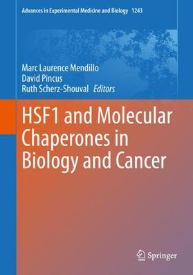 Mendillo / Pincus / Scherz-Shouval |  HSF1 and Molecular Chaperones in Biology and Cancer | Buch |  Sack Fachmedien