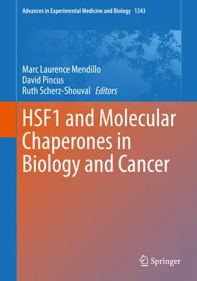 Mendillo / Pincus / Scherz-Shouval |  HSF1 and Molecular Chaperones in Biology and Cancer | eBook | Sack Fachmedien