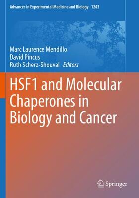 Mendillo / Scherz-Shouval / Pincus |  HSF1 and Molecular Chaperones in Biology and Cancer | Buch |  Sack Fachmedien